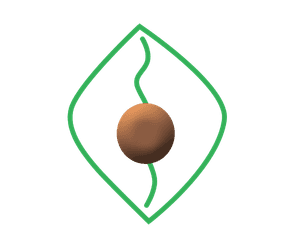Asha Ayurveda
